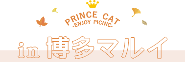 PRINCE CAT -ENJOY PICNIC- in博多